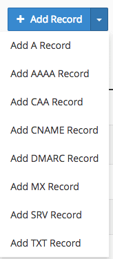 Press the blue '+ Add Record' button and select 'Add TXT Record'